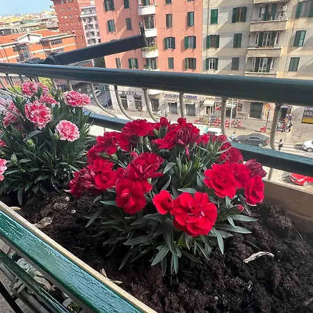 Daire Valentina House *